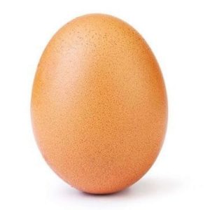 Leckere frische EIER