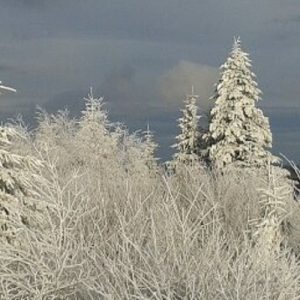 Magischer Winterzauber